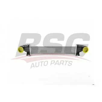 Intercooler, échangeur BSG