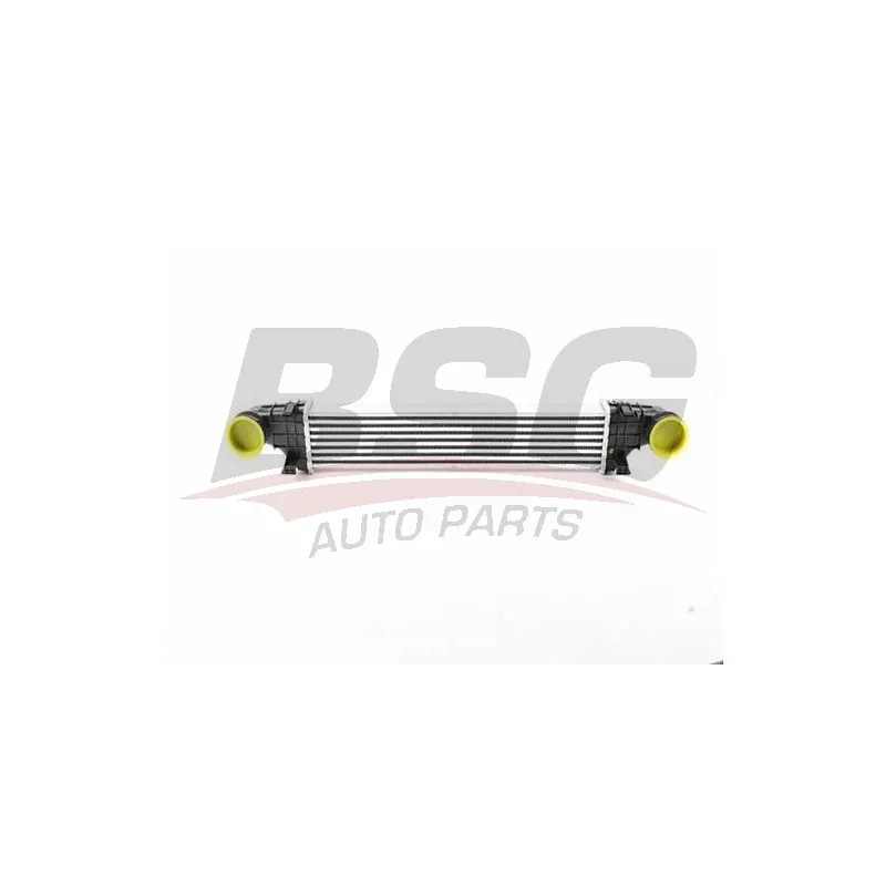 Intercooler, échangeur BSG BSG 60-535-021