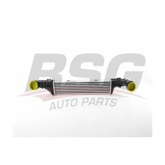 Intercooler, échangeur BSG BSG 60-535-022