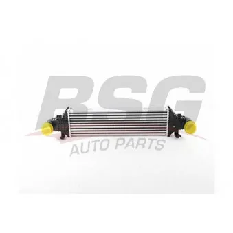 Intercooler, échangeur BSG BSG 60-535-024