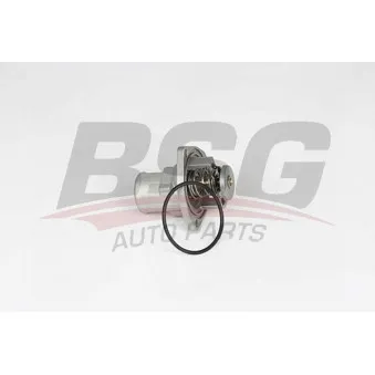 Thermostat d'eau BSG BSG 65-125-025