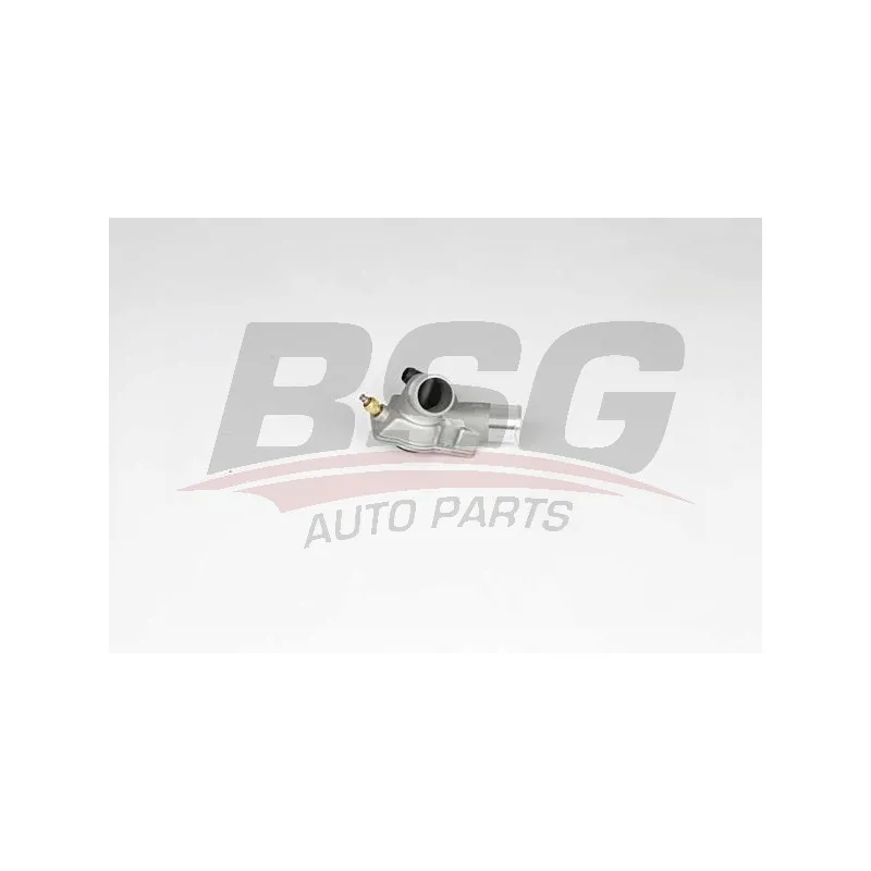 Thermostat d'eau BSG BSG 65-126-008