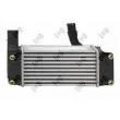 Intercooler, échangeur ABAKUS 051-018-0003 - Visuel 2