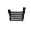 Intercooler, échangeur NRF 30251 - Visuel 3