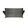 Intercooler, échangeur NRF 30843 - Visuel 1