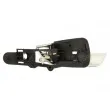 Poignet de porte, équipment intérieur arrière droit BLIC 6010-22-017408PP - Visuel 2