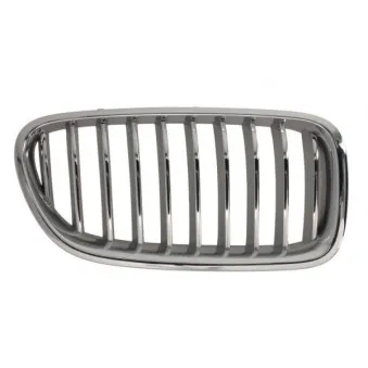 Grille de radiateur avant droit BLIC 6502-07-0067998CP