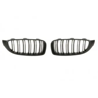 Grille de radiateur BLIC 6502-07-0070991KP