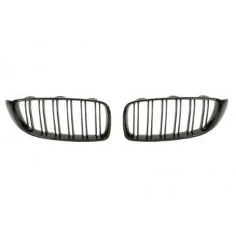 Grille de radiateur BLIC 6502-07-0070992KP