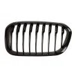 Grille de radiateur avant gauche BLIC 6502-07-0086997P - Visuel 1