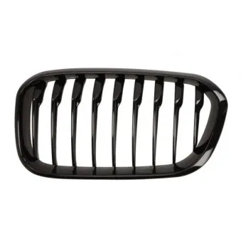 Grille de radiateur avant gauche BLIC 6502-07-0086997P