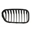 Grille de radiateur avant gauche BLIC 6502-07-0086997P - Visuel 2