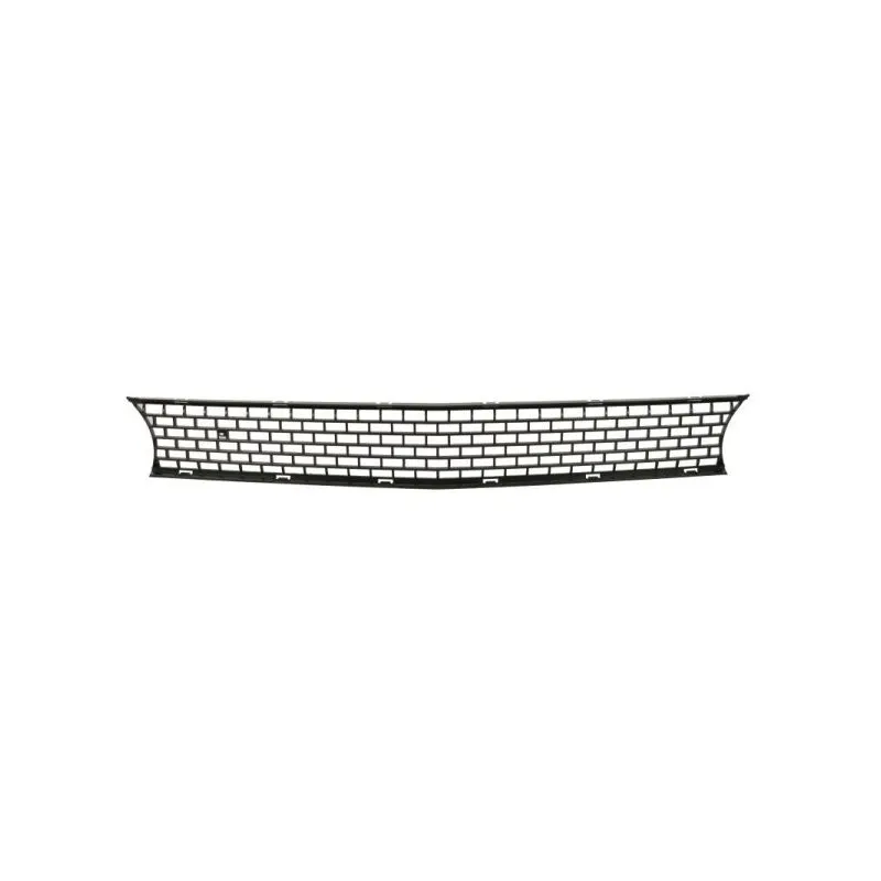 Grille de radiateur BLIC 6502-07-0950990P