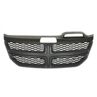 Grille de radiateur BLIC 6502-07-2050990P