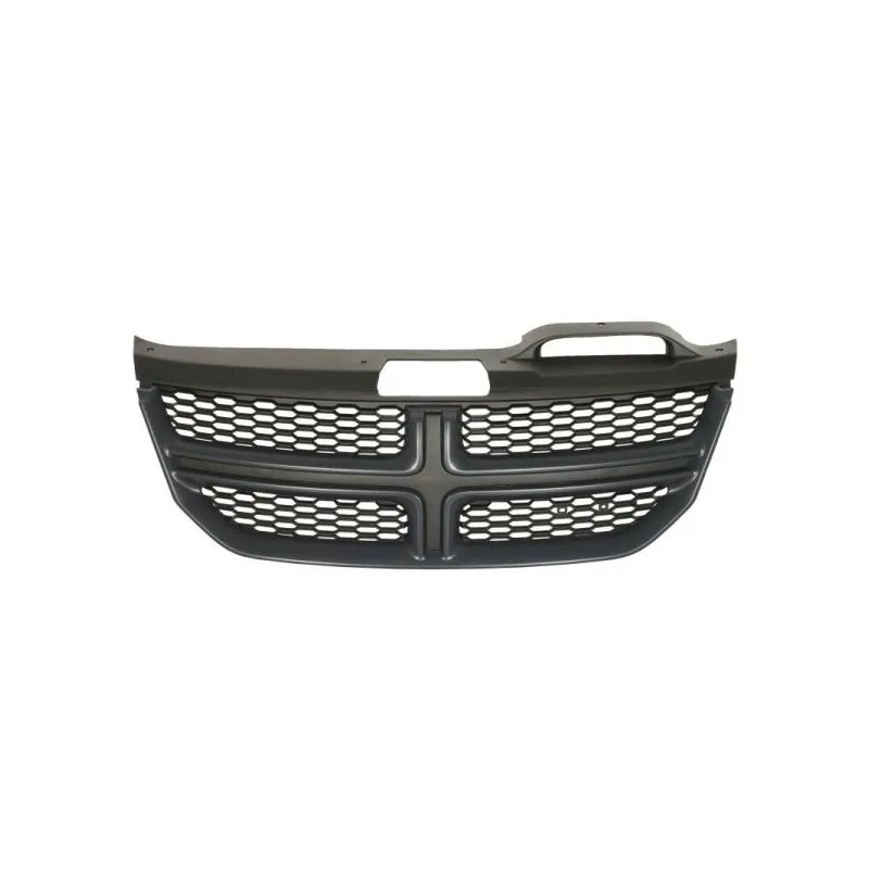 Grille de radiateur BLIC 6502-07-2050990P