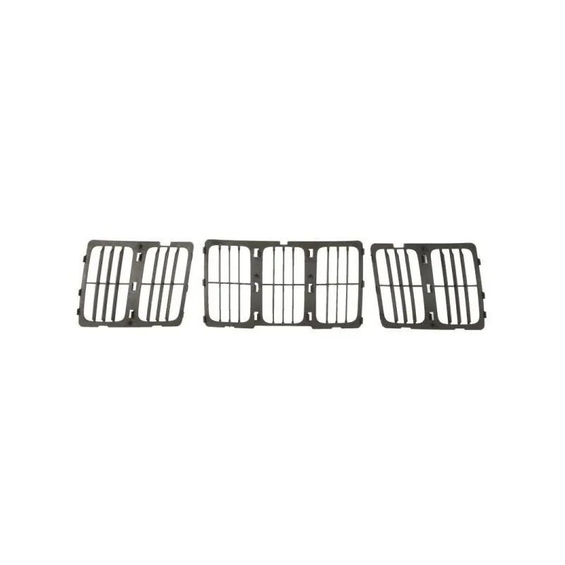 Grille de radiateur BLIC 6502-07-3206993BP