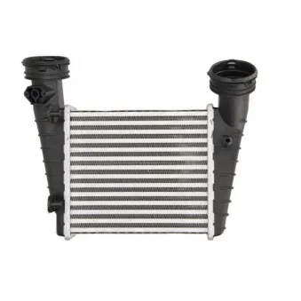 Intercooler, échangeur THERMOTEC DAW004TT