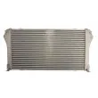 Intercooler, échangeur THERMOTEC DA2012TT - Visuel 2