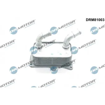 Radiateur d'huile Dr.Motor DRM81003