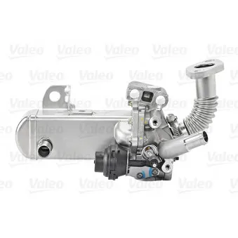 Module-EGR VALEO 700452