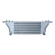 Intercooler, échangeur NRF 30928 - Visuel 1