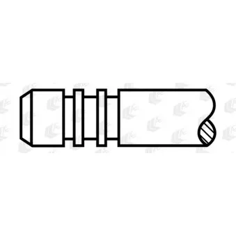 Soupape d'échappement AE V95220