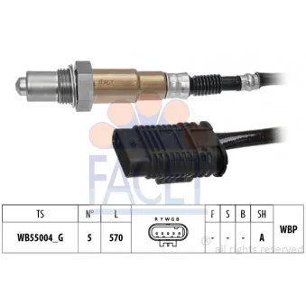 Sonde lambda FACET 10.8571