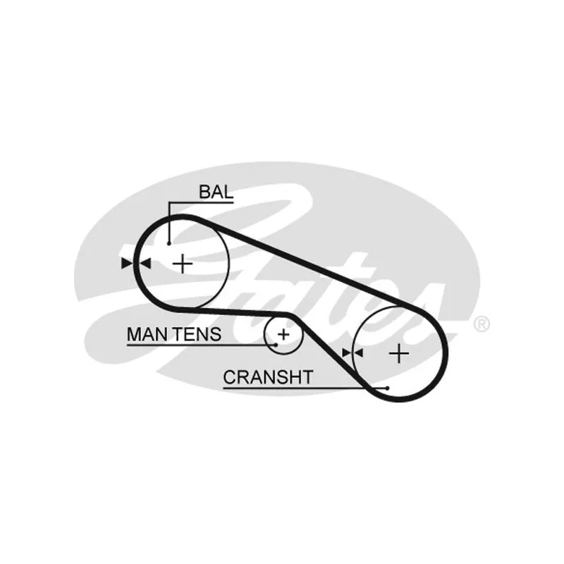 Courroie crantée GATES 5025