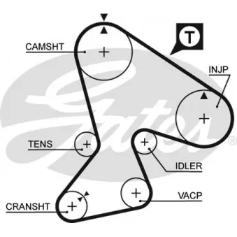 Courroie crantée GATES 5040