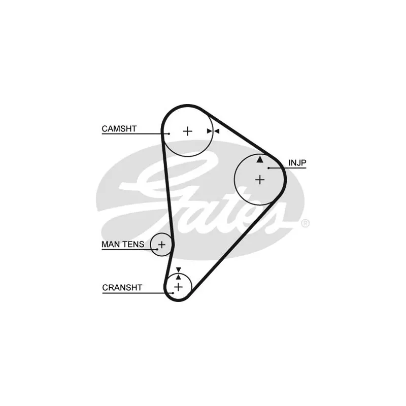 Courroie crantée GATES 5044