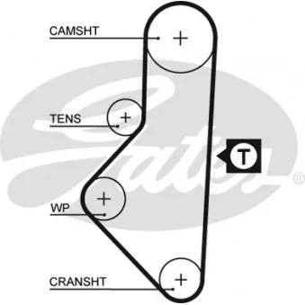 Courroie crantée GATES 5050XS