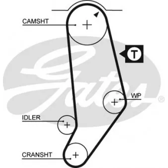 Courroie crantée GATES 5053