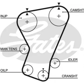 Courroie crantée GATES 5065