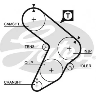 Courroie crantée GATES 5087
