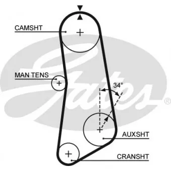 Courroie crantée GATES 5089