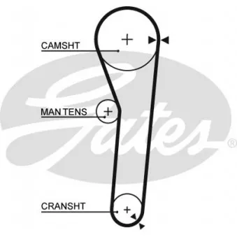Courroie crantée GATES 5092