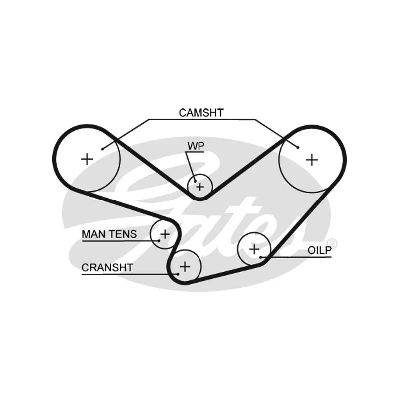 Courroie crantée GATES 5096