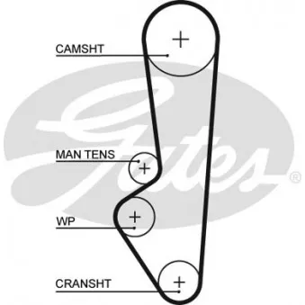 Courroie crantée GATES 5097