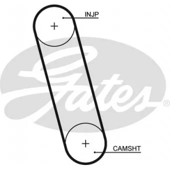 Courroie crantée GATES 5100
