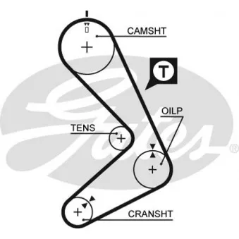 Courroie crantée GATES 5131