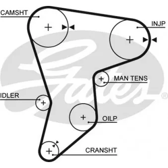 Courroie crantée GATES 5133