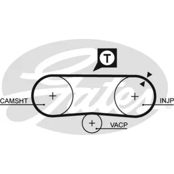 Courroie crantée GATES 5134