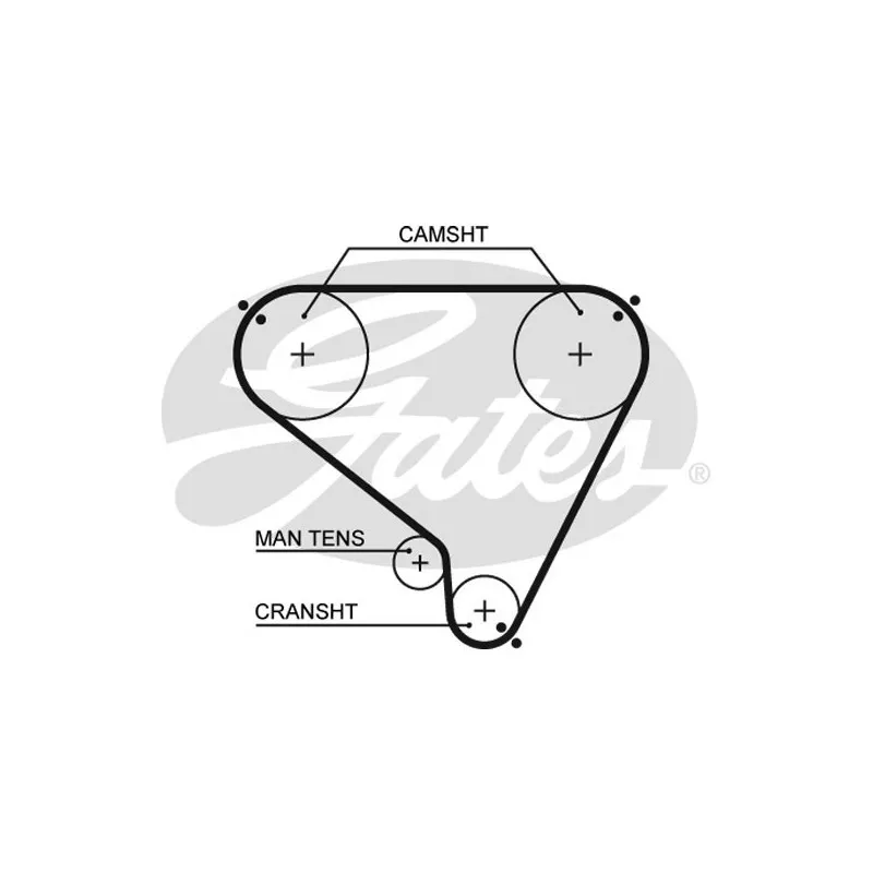 Courroie crantée GATES 5146