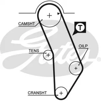 Courroie crantée GATES 5183XS