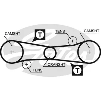 Courroie crantée GATES 5186