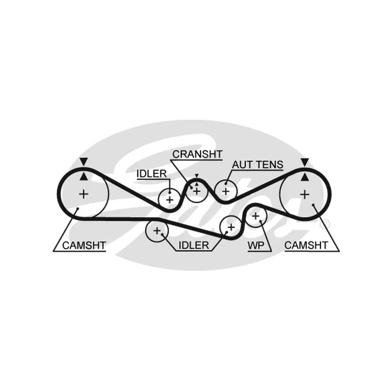 Courroie crantée GATES 5241