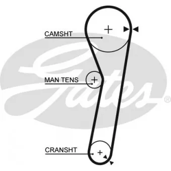 Courroie crantée GATES 5260XS