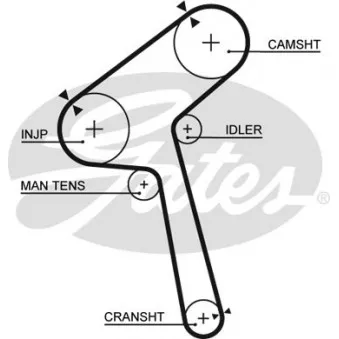 Courroie crantée GATES