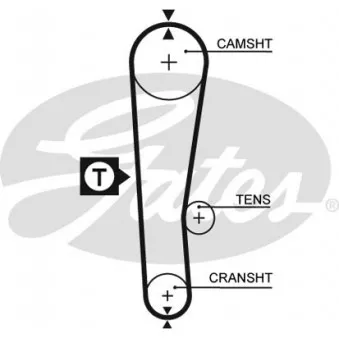 Courroie crantée GATES 5313XS