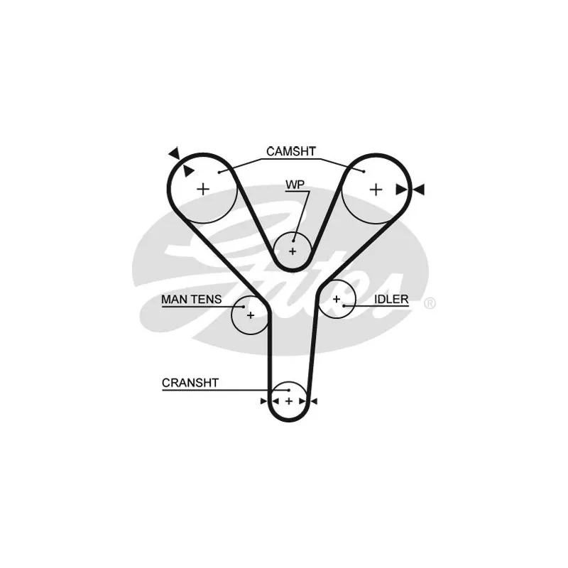 Courroie crantée GATES 5377XS